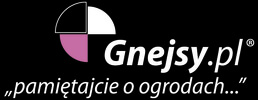 gnejsy.pl | SKB Strefa Kamienia